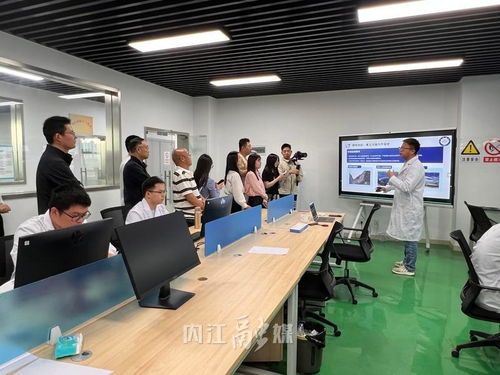 從“一”到“百” 內江以技術咨詢為雨露，讓創新種子長成產業森林